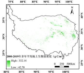 青藏高原沼泽湿地植被地上生物量数据（2000-2019年）