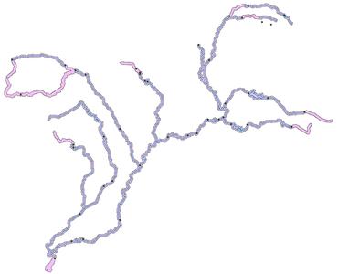 辽河干流流域水功能分区数据集