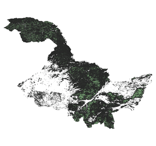 黑龙江省2000森林生态系统空间分布数据