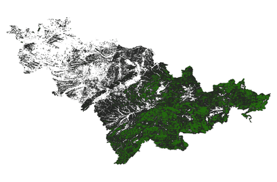 吉林省2000森林生态系统空间分布数据