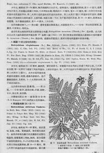 东北草本植物数据集(1958-1959年)