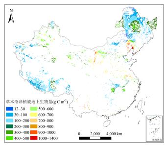 中国草本沼泽植被地上生物量空间分布数据集