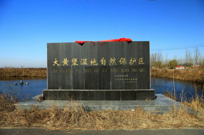 天津武清区加快推进大黄堡湿地保护修复工作