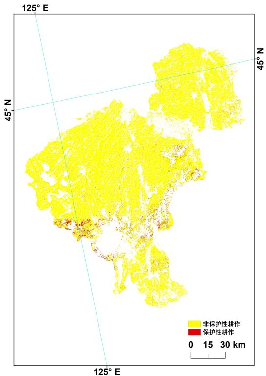 吉林省长春市30m分辨率保护性耕作分布数据集2015年