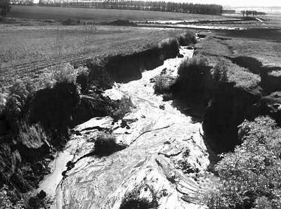 东北地区水土流失与调控数据集（1964-1985年）