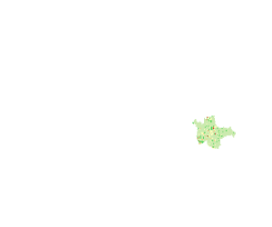 大安示范区2007年盐渍土等级分类